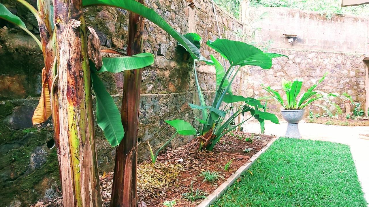 Villa Senan - 2 Apartments - Мириса Екстериор снимка
